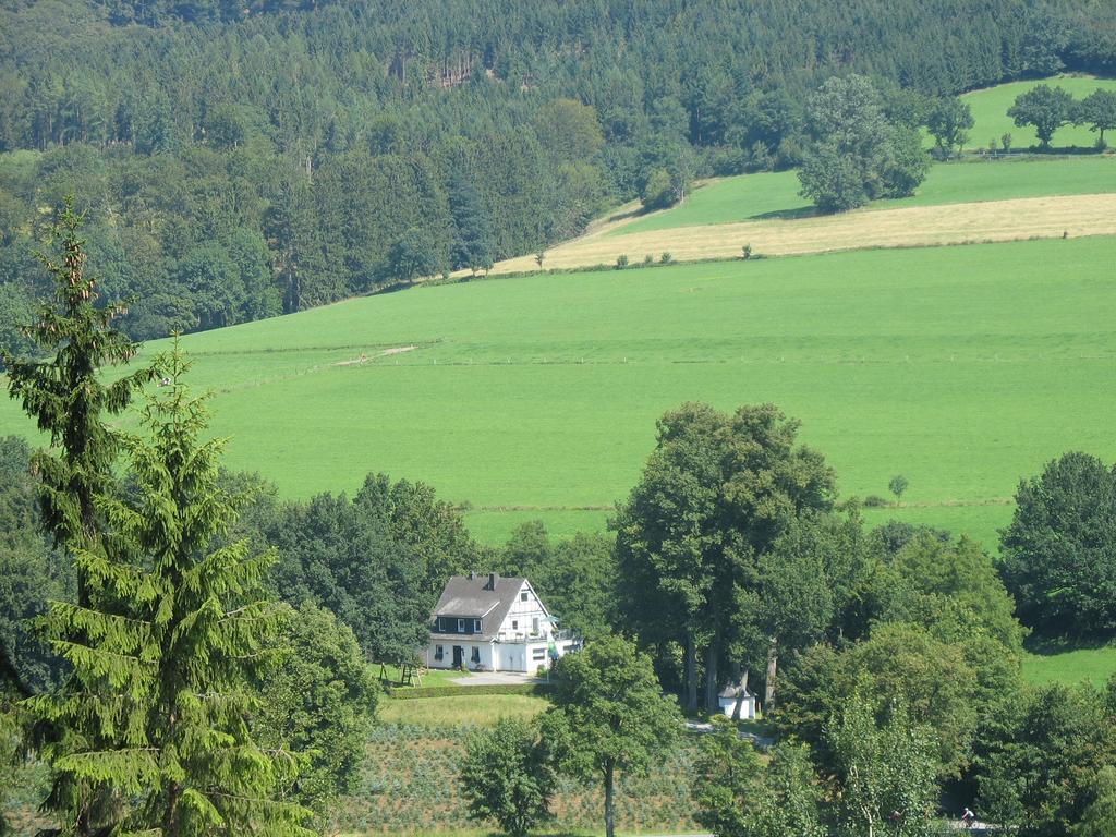 שמאלנברג Pension Haus Am Walde מראה חיצוני תמונה